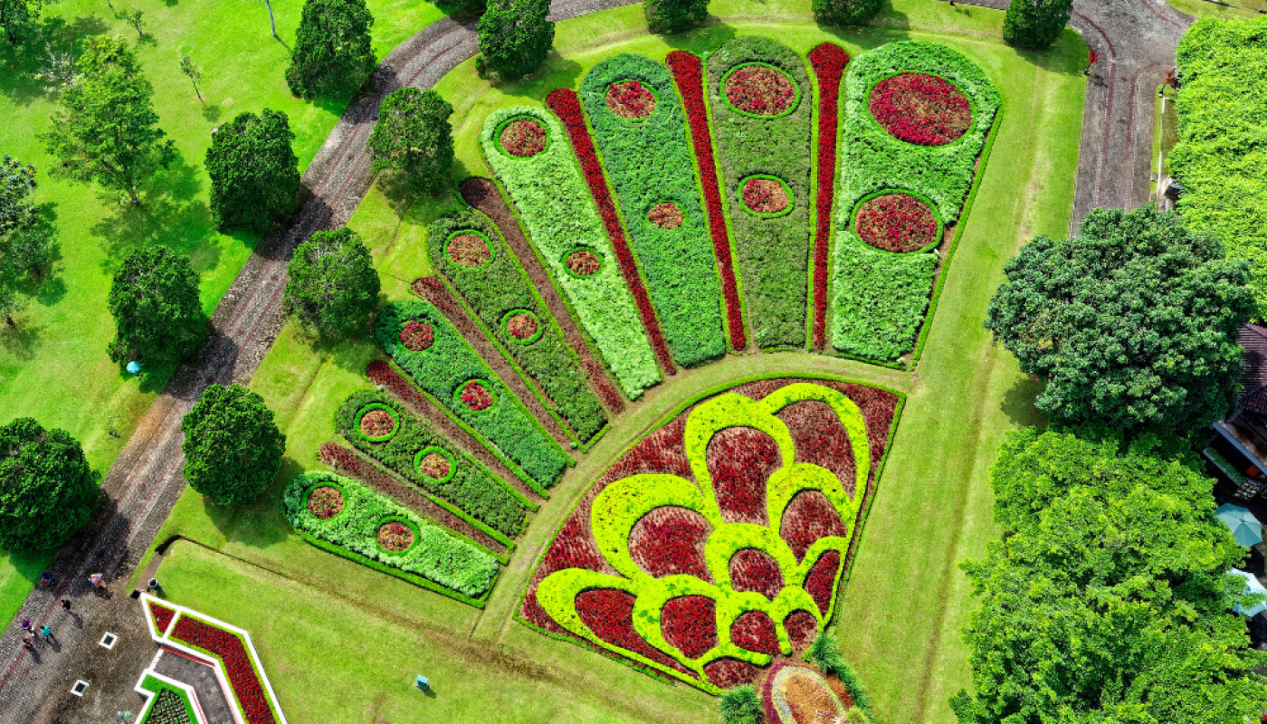 Quels sont les services principaux d'un créateur de jardin ?